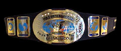 WWF Intercontinental Championship